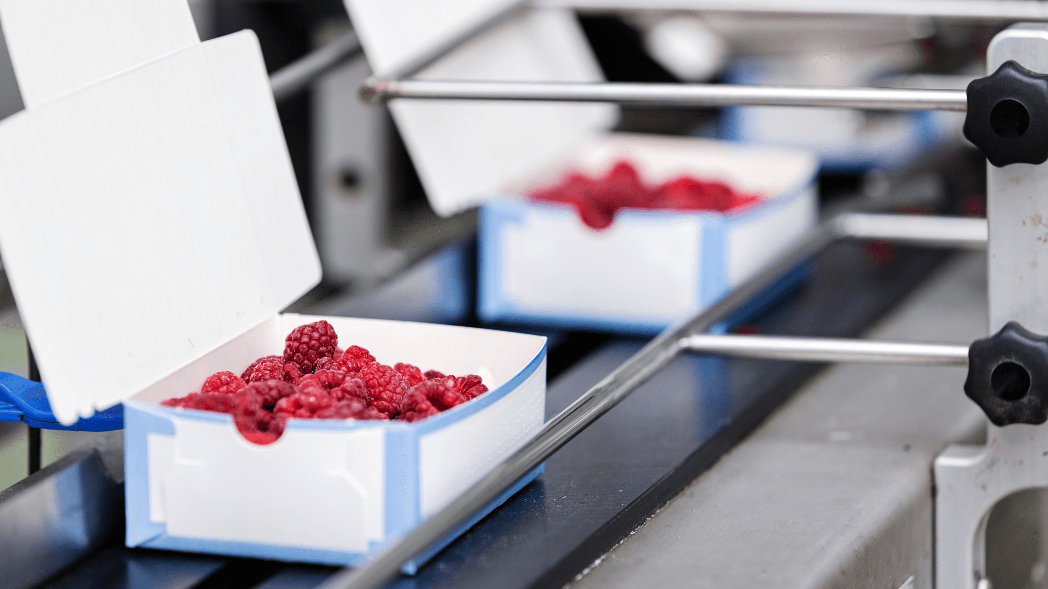 FMCG, food grade industries image